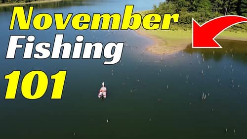 The BEST Baits To Use For November Bass Fishing