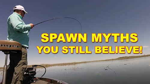 10 Myths About Spawning Bass All Fishermen Get Wrong | How To | Bass Fishing