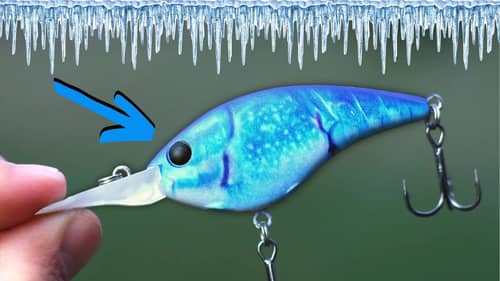 Best WINTER Lure Of All Time?!?!