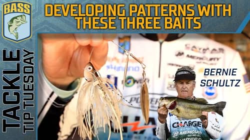Bernie Schultz's THREE search baits for developing a pattern