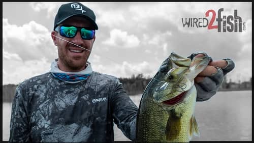 Jacob Wheeler's Crankbait Method for Finding Bass on New Lakes