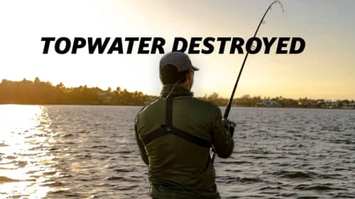 Swimbaits and Topwaters Get Destroyed Fishing Inshore!