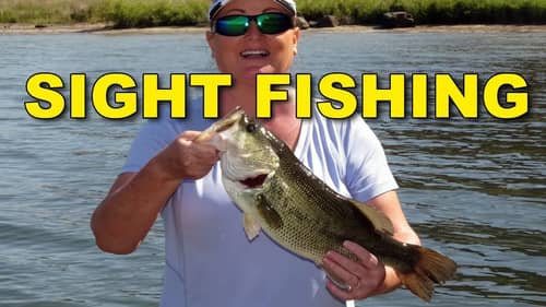 Sight Fishing for Big Bass: The Key To Success | Bass Fishing