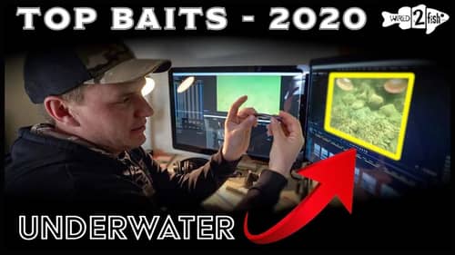 7 Baits That Impressed Us in 2020 | Underwater Inspection