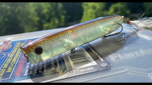 Top Water Baits for Suspended Bass over Deep Ledges
