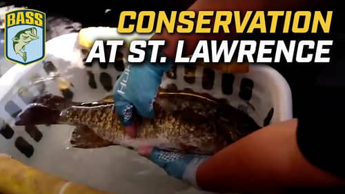 Bassmaster Conservation Efforts at St. Lawrence River