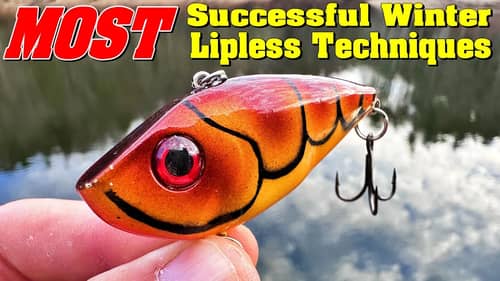 Most Successful Lipless Techniques For Cold Water