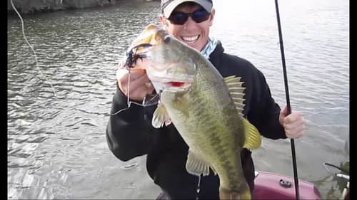 Big Bass on the Buzzbait Story