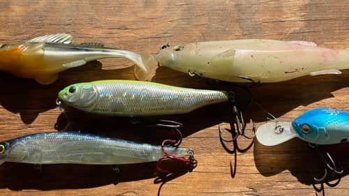 The 5 Megabass Baits I Use The Most…(Why/When)