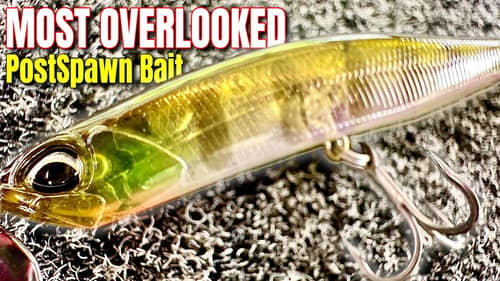 The MOST Overlooked Post Spawn Bait - Spybait