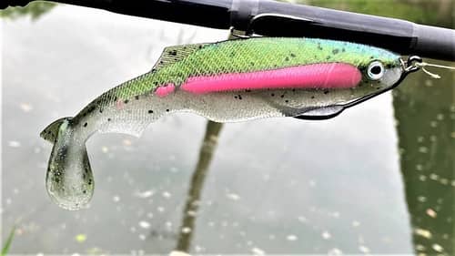 An Epic Injection SwimBait | Inject to Catch