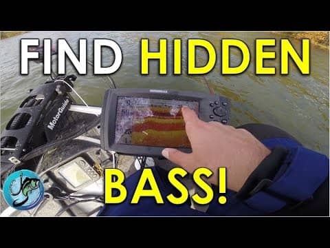 How to Find Bass When All Cover Looks the Same | Fall Bass Fishing