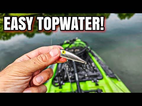EVERYTHING Wanted This Tiny Popper!  (Summer Topwater Fishing)