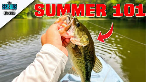Catch More Fish in the Summer by Focusing on This!