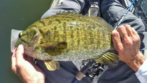 6 over 20"! Epic Day Of Kayak Fishing Smallmouth On Beds