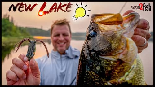 How to Find Bass on New Lakes | Frog and Jig 1-2 Punch