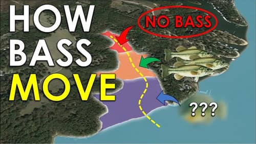 Pro Tip for Finding Bass On Any Lake | Bass Fishing Beginner Guide