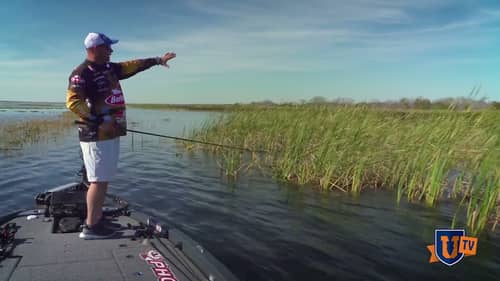 You CAN Fish Swimbaits in Grass - Spring Fishing Tips