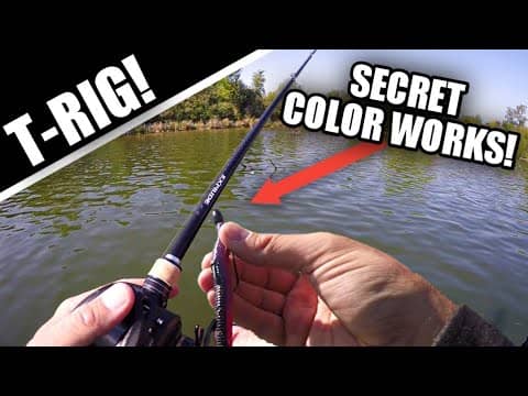 9/10 Anglers NEVER Use THIS Color! (Texas Rig Worm)