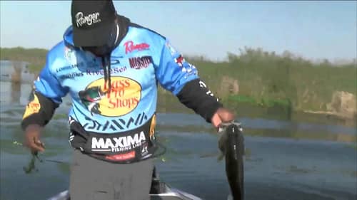 Ish Monroe catches a 4 on a Frog BASS Live www.bassmaster.com