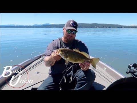 Fishing Small Mouth Country, Catching Spring Pre-spawn Bass on Almanor with A-rig's and Jerk Bait's