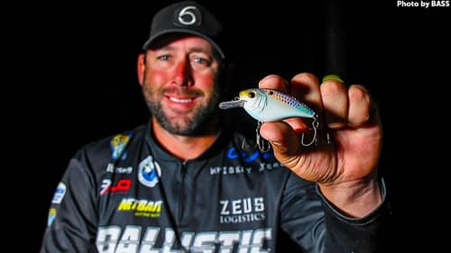 Seasonal Bass Fishing Secrets: Catch Fish on Top, in the Middle & On Bottom - Bassmaster Lee Livesay