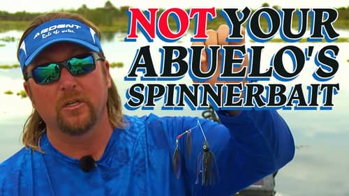 $250K Spinnerbait?!?! [Florida, Louisiana & East Coast Secret Color for Tannic Water Bass Fishing]