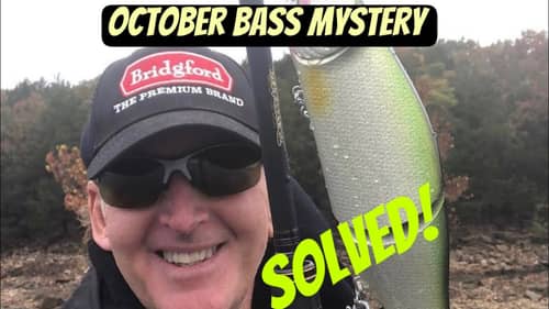 THIS Is What Bass Do In October…