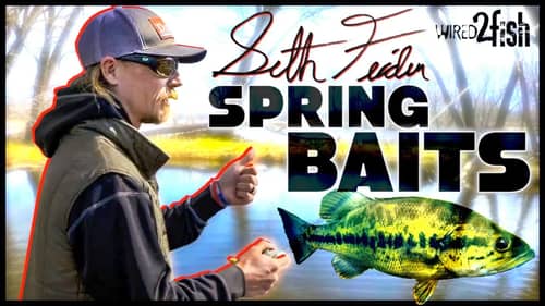 4 Top Prespawn River Bass Lures | Seth Feider’s Hit List