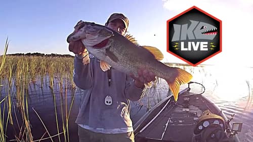 Mikeybalzz Fishing Calls into Ike Live