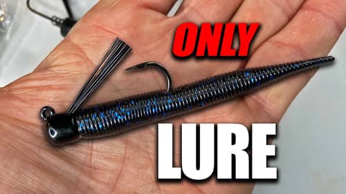 The ONLY Lure You Need to CATCH BASS (Ned Rig)