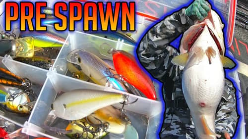 How I CAUGHT the Bass of a LIFETIME - Pre Spawn Crankbait Fishing Cheats