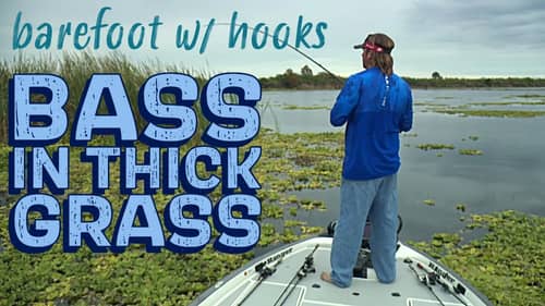 GO Where the BASS HIDE [JT Kenney's Punching Florida Lake Grass Fishing Tips, Tricks & Techniques]