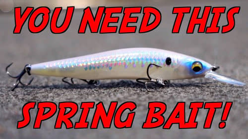 DON'T Go Spring Bass Fishing WITHOUT This Bait!
