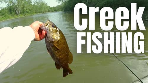Creek Fishing For BIG Smallmouth (From A BASS BOAT)
