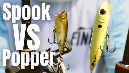 What Is The BEST TOPWATER Lure?? (Spook VS Popper)