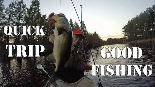 Great Fall Bass Fishing in Florida with Buzzbaits and Worms