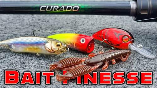 Bait Finesse Fishing ( BFS ) For Bass! How Its Actually Done!