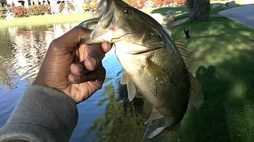 First Day Of Winter Bass Fishing