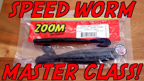 The LAST Zoom Speed Worm Video You'll Ever NEED!