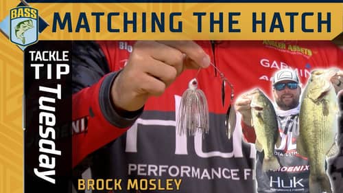 Matching the hatch as fish move from fall to winter (Bassmaster Pro Brock Mosley's advice)