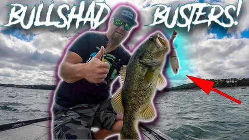 COULDN'T PUT THIS BAIT DOWN! THROWING SLOW SINK DIRTY BONE BULLSHAD FOR BIG FALL BASS!