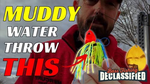Top 3 Muddy Water Lures for Winter Bass Fishing