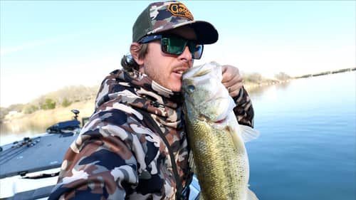 You think Bass are Spawning, but NO!