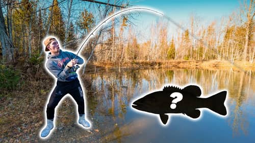 Fishing MY Backyard Pond for More MYSTERY FISH! (Fall Fishing)
