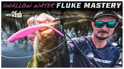 4 Tips for Fluke Fishing in Ultra-Shallow Water