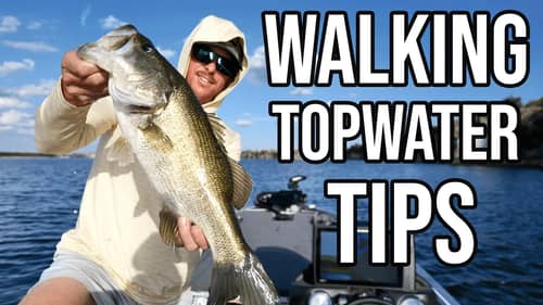 TOPWATER WALKING BAITS for BASS | Tips & How To