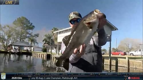 St. Johns River: Whitaker lands a giant and gets redemption