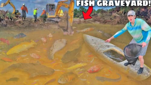 Saving EVERY Fish From DESTROYED Abandoned Pond!