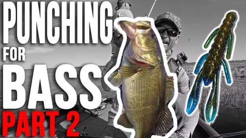 Ultimate Punching Mats and Heavy Grass Fishing For Bass Lake Kissimee ~ Pt. 2